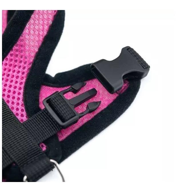Lightweight, Pressure-Free, Breathable Harness for Dogs and Cats with Leash S