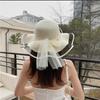 Outdoor Sun Hat Ladies Internet Celebrity Fashion Pearl Woven Straw Hat Summer Shade Sun Protection Beach Hat Fungus Edge