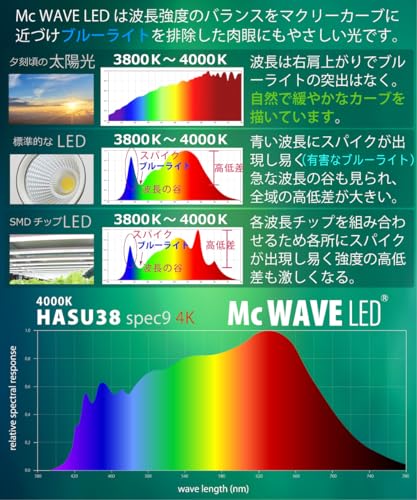 HaruDesign HASU38 spec9 4K Фитолампа для растений с корпусом Черный Вихрь, Теплый Белый (4000К), McWave LED, Широкоугольный отражатель, Полный спектр, Без мерцания,