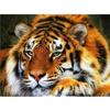 DIY Тигр 5D алмазная живопись полная круглая дрель смола животное Алмазная вышивка крестиком мозаика комплект настенное искусство домашний декор подарок