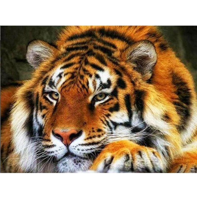 DIY Тигр 5D алмазная живопись полная круглая дрель смола животное Алмазная вышивка крестиком мозаика комплект настенное искусство домашний декор подарок