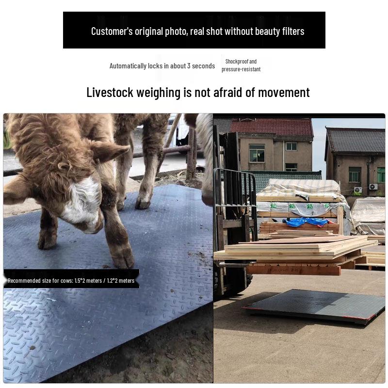 Industrial Electronic Floor Scale with Fence
