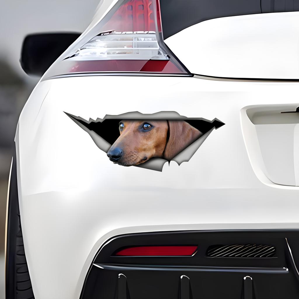 Tan Dachshund Car Stickers Scratch Blocking Self-Adhesive Waterproof Decal, Used for Car, Laptop, Motorcycle, Van, RV