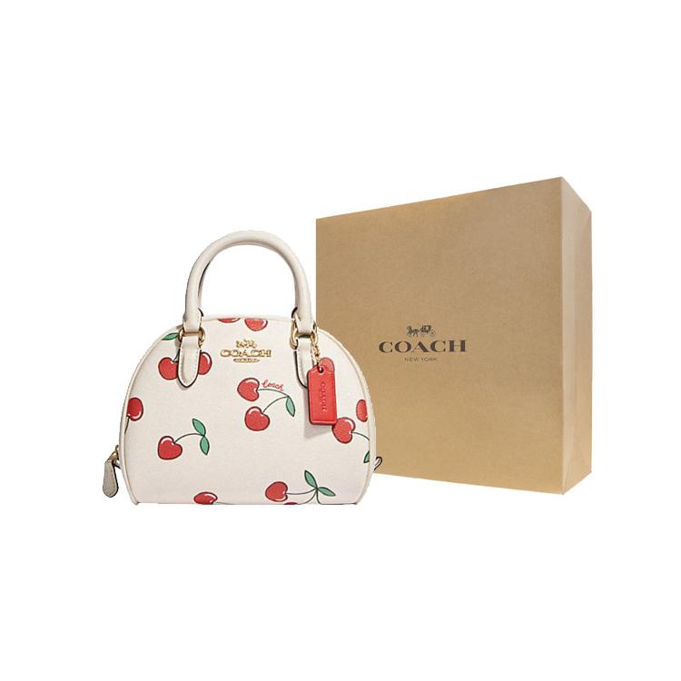 New COACH Sydney Canvas With Leather Shoulder Bag Crossbody Bag Handbag Small Size Women's White CF421-IMCAH