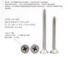 M1.4-M6 Нержавеющая сталь 304 Электронные Прецизионные Потайные Крестовые Винты Саморезы Острый Хвост KA Плоская Головка