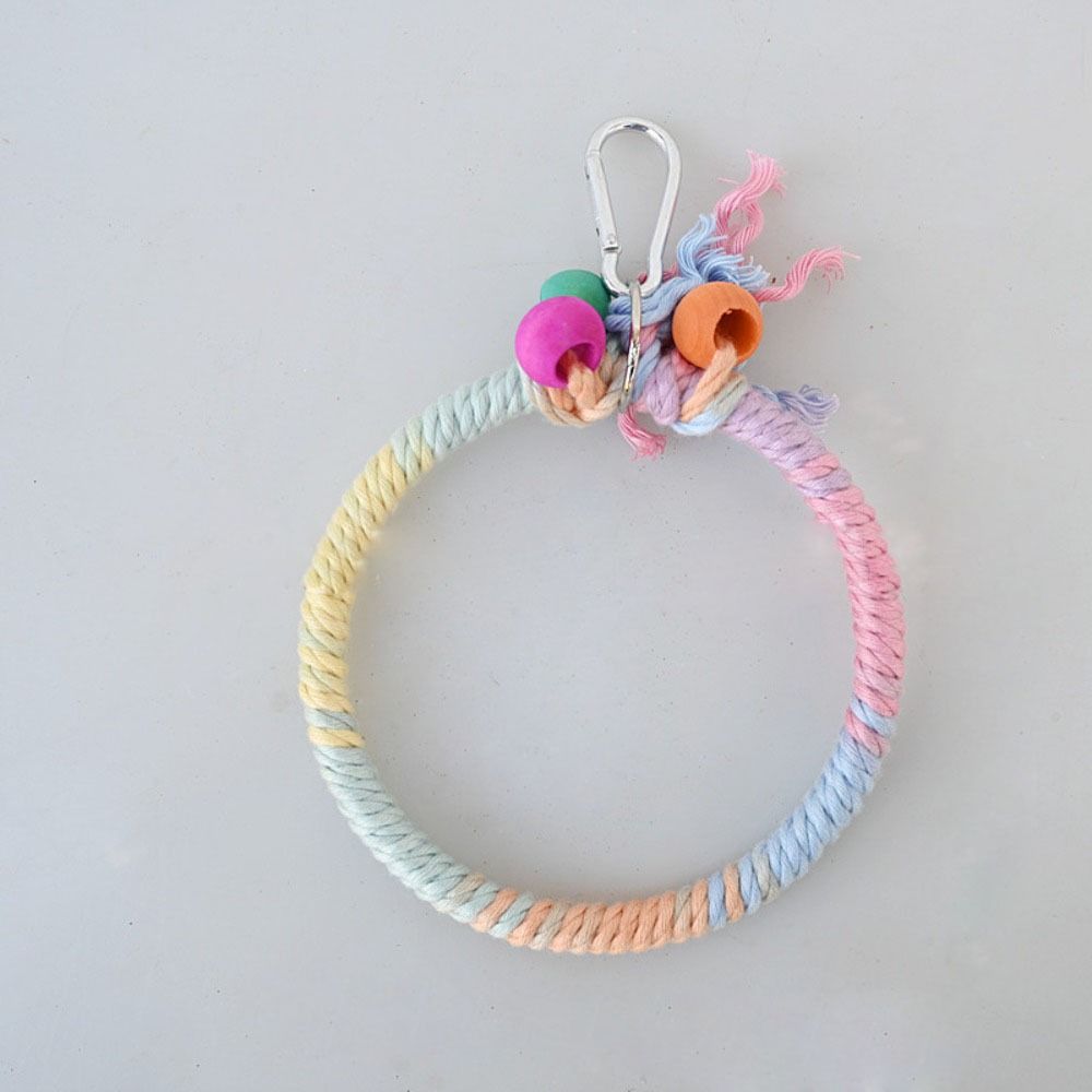 Paw Grinding Parrot Hanging Clip Colored Parrot Standing Stick Parrot Birds Cage Toy  Training Toys