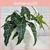 Alocasia Plant Simulated Odora Mall Hotel Courtyard Green Decoration Plant