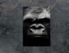 GLASS CUTTING BOARD 35x52 Gorilla