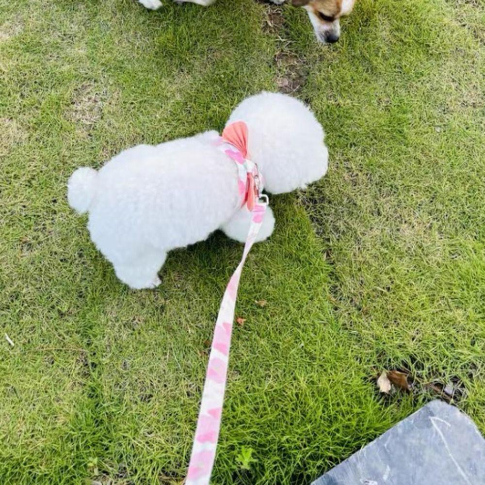 Breathable Puppy Chest Strap Adjustable Dog Harness Vest Dog Accessories Dog Leash Vest Chihuahua