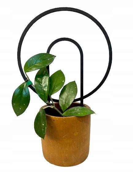 Podpora do roślin pnączy podpórka kwiatów pnących pergola drabinka 34 cm