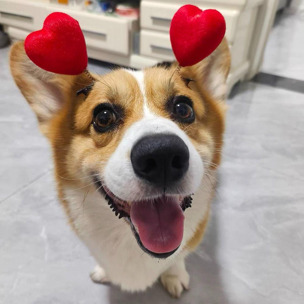 Dog Chicken Barrettes Rabbit Duck Hair Clip Creative Daily