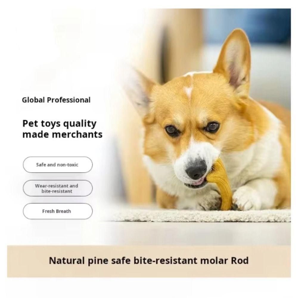 Creative Puppy Molar Toys Bone Shape Dog Interactive Toys Portable Dog Chew Stick Pet Dental Care