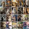 5D Алмазная Картина Кошка Полный Квадрат Круглая Мозаика Вышивка Животное Ручной Работы Подарок Домашний Декор