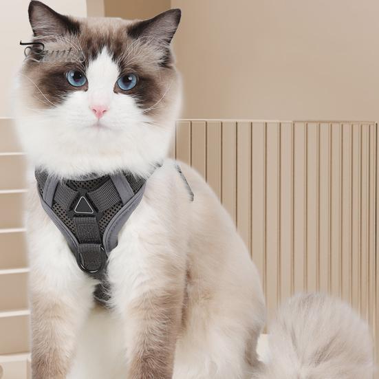 Шлейка и поводок для кошек, куртка со светоотражающими полосками, дышащий регулируемый жилет, поводок для побега, легкий контрольный поводок для кошек