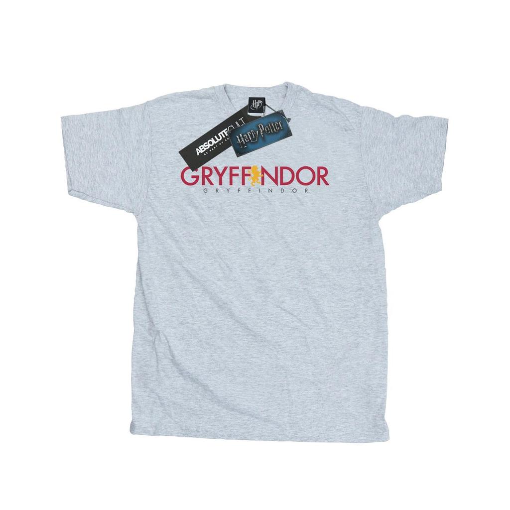 Harry Potter Mens Gryffindor Text T-Shirt