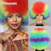 Rainbow Curly Afro Wig for Kids Women Synthetic Fiber Curly Afro Wig Cosplay Daily Wear Kinky Curly Wig