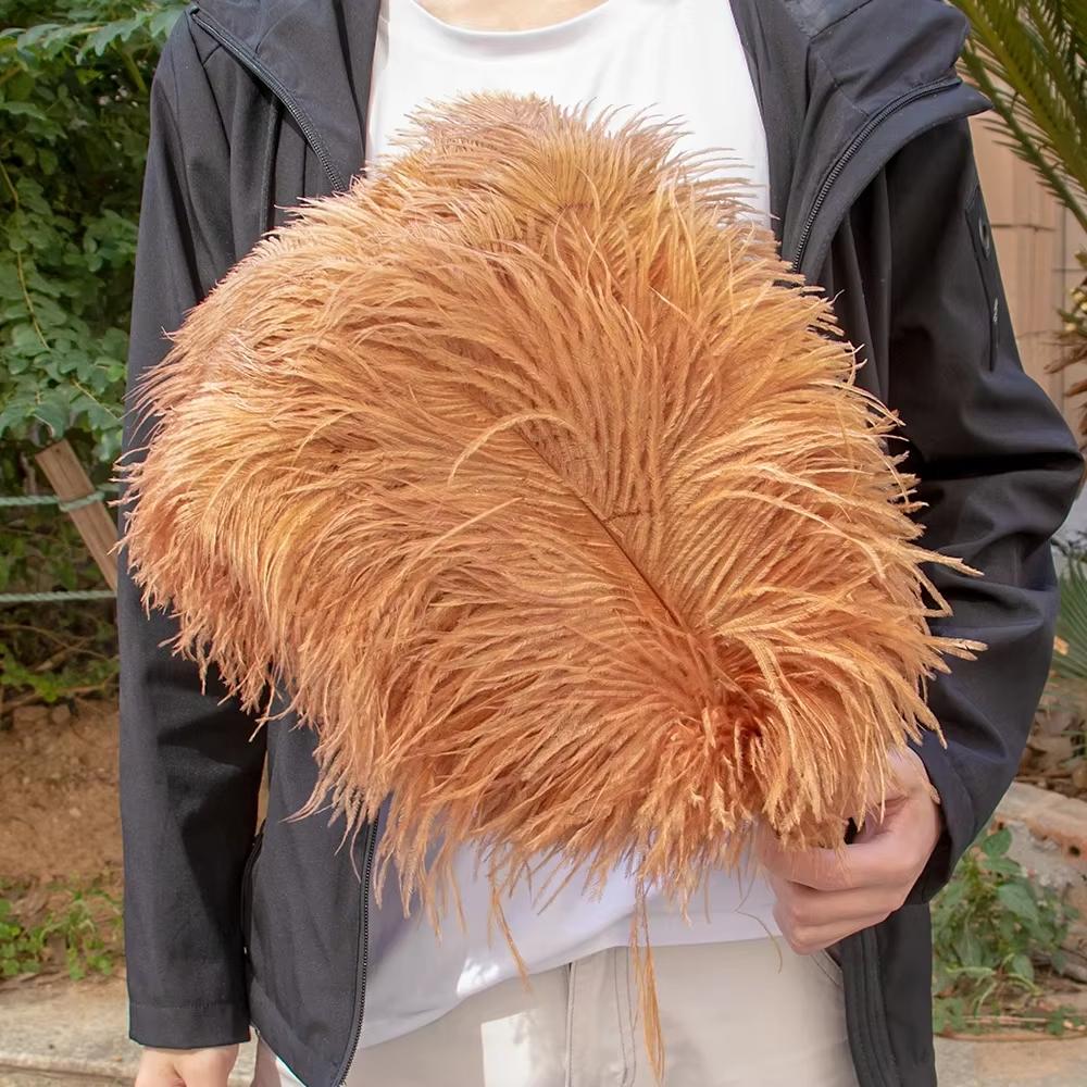 15-60Cm Natural Ostrich Feathers | High-Quality For Diy, Wedding, Party, Stage, Costume & Home Decor | Various Colors Available