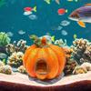 Pumpkin Fish Tank Decoration Sculpture,Crafts,Pumpkin House Ornaments,Fish Hide