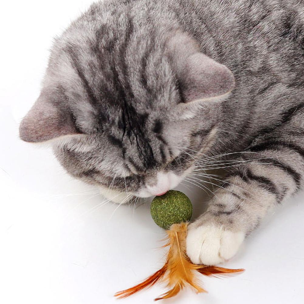 1 шт. Мятный шарик для кошек с перьями, шарик с кошачьей мятой, самоочищающийся, для стачивания зубов, шарик-перо, игрушка-шарик, игрушки для питомцев, товары для кошек, инструмент для чистки питомцев