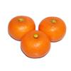 Модели фруктов мандарина ГуКра, набор из 3 штук, реалистичные образцы еды, утяжеленные модели фруктов (Маленький)