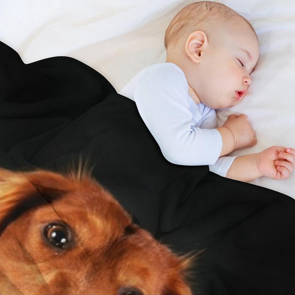 Такса длинношерстная, такса выглядит смешно Плед для пикника Роскошный Утолщенный для дивана-кровати Одеяла Диваны Декоративные Одеяла