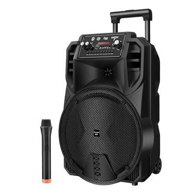 NEWMINE N509 12-дюймовый портативный Bluetooth-динамик KTV с китайской вилкой (адаптер в комплекте)