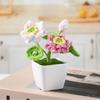 Утолщенный квадратный пластиковый горшок для суккулентов