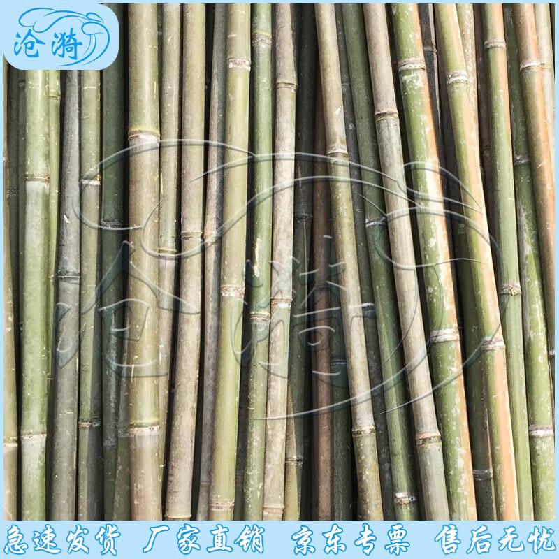 Bamboo Poles for Garden Support