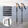 Tolex 6061 Aluminum 3-Section Trekking Pole