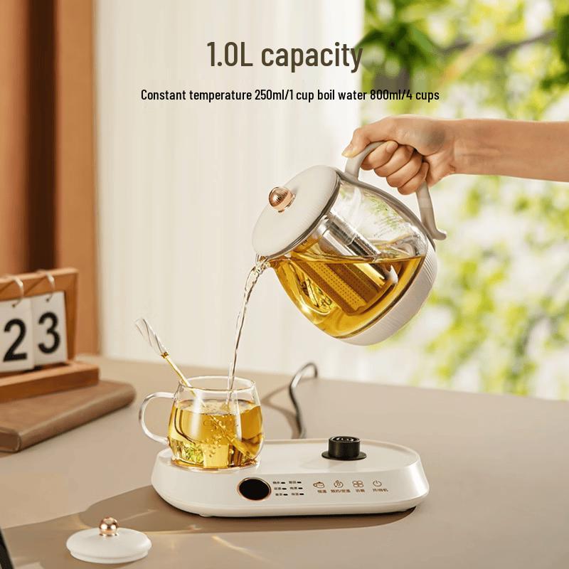 LISM Multi-functional Electric Health Kettle