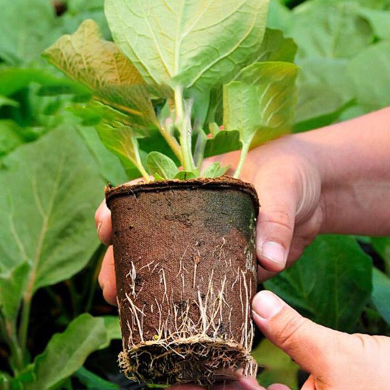30pcs Paper Grow Pot Nursery Cup Growing Pot Box Tray Veg Planter Plant Starter Flower Herb Biodegradable Eco-Friendly