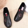 Spring and Autumn New Women's Single Shoes Non-slip Soft Sole Comfortable Wear-resistant Casual One-pedal Middle-aged and Elderly Shoes