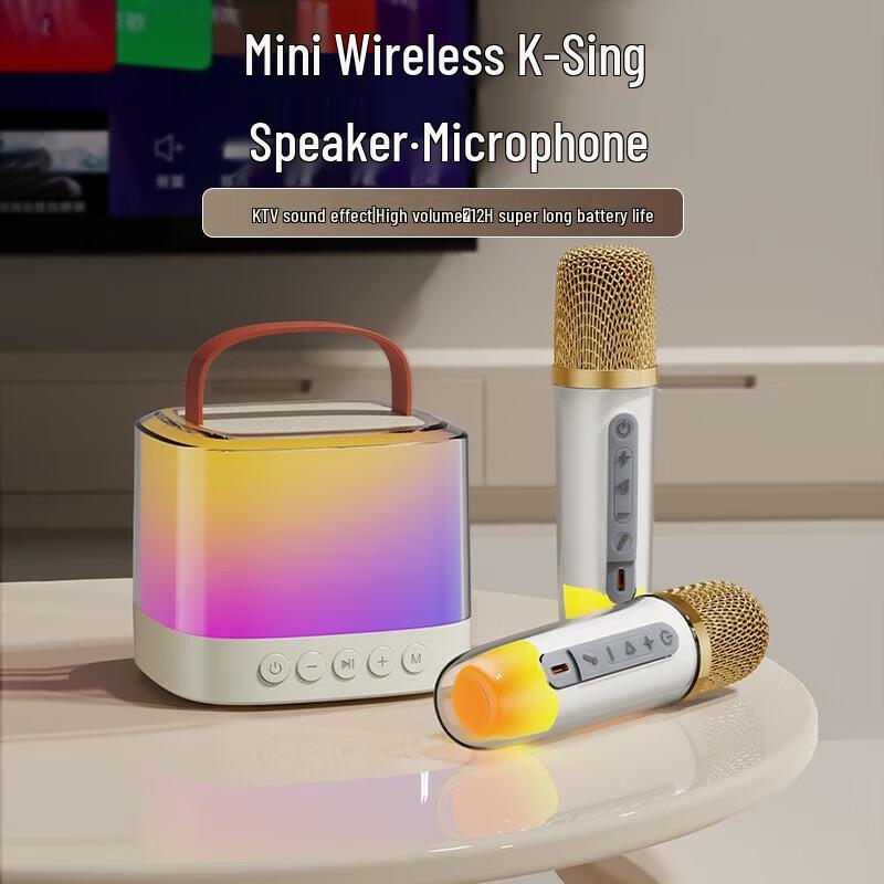 Shanshui V1 Wireless Bluetooth Karaoke Speaker Set