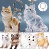 New Cat Hair Storage Keychain Bag Pendant Transparent Pet Fur Keepsake Capsule Souvenir Collection Gift Decoration Accessories