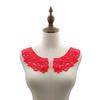 Yousheng 1 Pair Embroidered Collar Women Lace Neckline Hollow Lace Fabric Trim Applique for DIY Sewing Halloween Cosplay