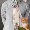 3D Кошка В форме кошки Унисекс Галстук Креативный рисунок Животное Котёнок Галстук на шею Атласная ткань Реалистичный Галстук на шею Для Свадьбы Вечеринки