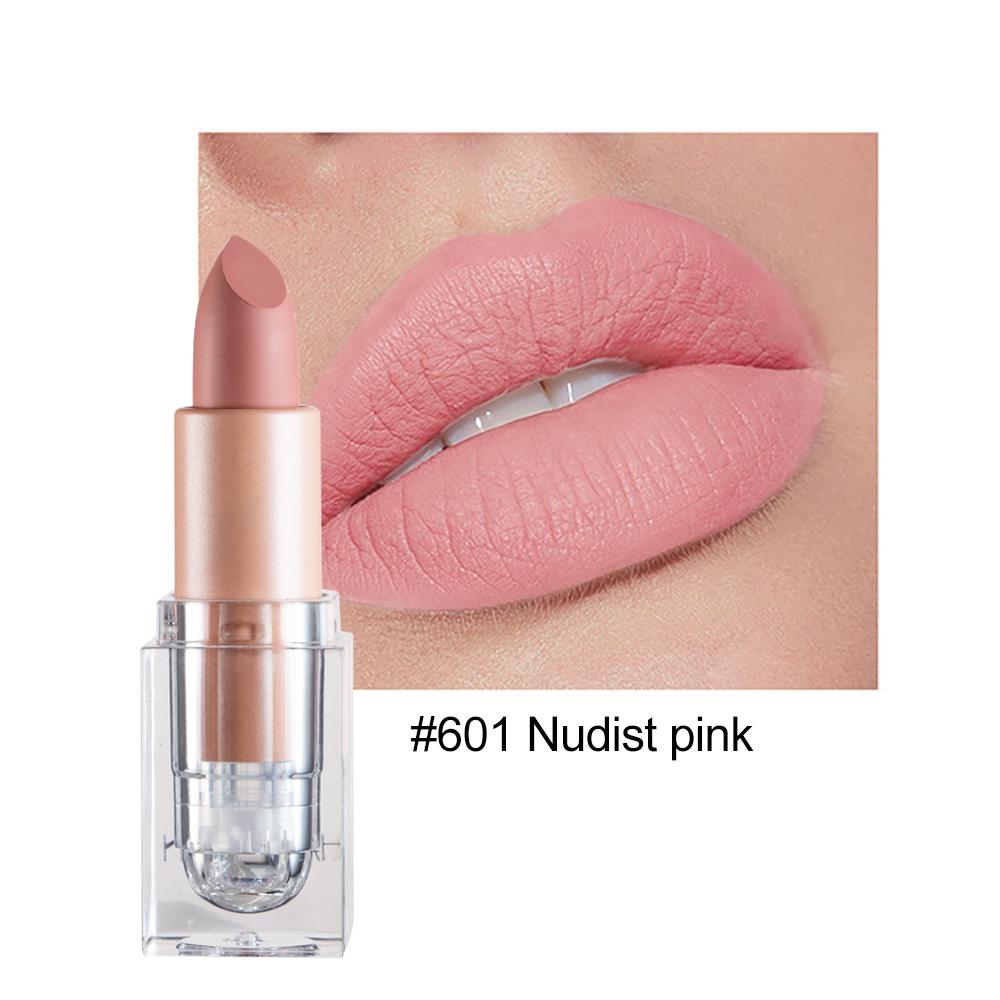 HANDAIYAN 12-Color Ice Tube Matte Nude Lipstick Easy To Color Long-Lasting Lip Makeup Cosmetics Waterproof Lips Gift