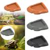 Reptile Water Bowl Plastic Corner Dish Realistic Rock Feeding Tray for Turtle Aquarium and Reptile Habitat