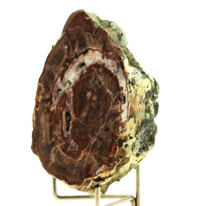 Pierres et Minéraux. Lithophyse. 332.25 ct. Massif de l'Esterel, Var, France.