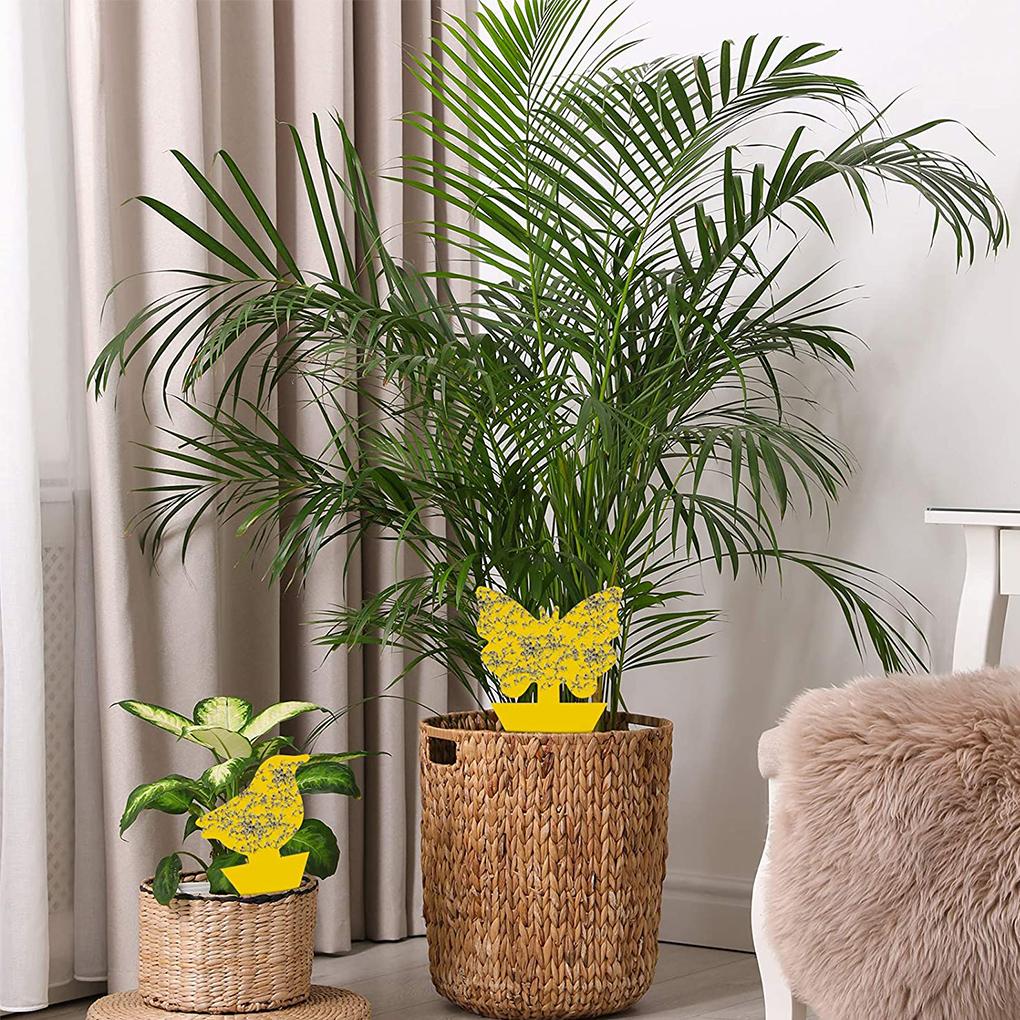 24 шт. липкие ловушки пластиковые липкие доски водонепроницаемые двухсторонние ловцы вредителей для садовой теплицы