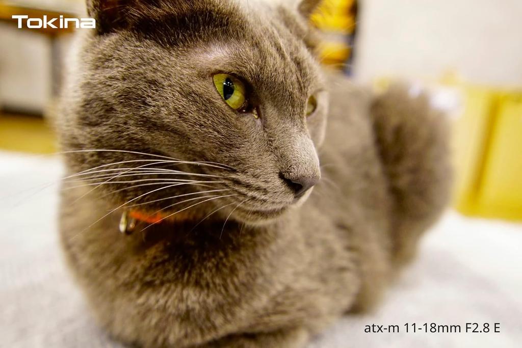 Tokina Wide Angle Zoom Lens E Only Sony E Mount ATX-M 11-18mm F2.8 APS-C