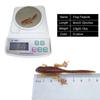 1/10pcs 8cm Tadpole Soft Bait 3.8g Soft Bait New Soft Fishing Lures