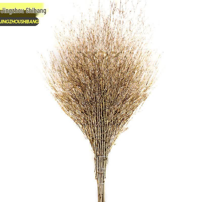 Jingzhou Shibang Bamboo Broom
