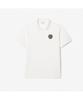 Мужская футболка-поло LACOSTE с логотипом Lacoste, короткий рукав Ph8307-55N 70V