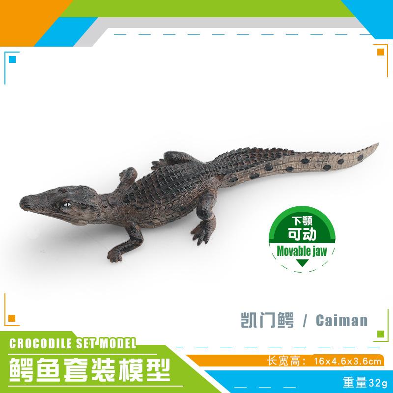 Mini Crocodile Wild Boar Caiman Nile Crocodile Alligator Wildlife Animal Model Scale Miniatures Decorations Simulated Home Decor