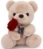 Homehalo Teddy Bear Plush Toy, Cute Teddy Bear, Body Pillow, Animal, Cute Bear, Fluffy, Special Bear, Soft Toy, Feels Good, Teddy Bear with Rose,