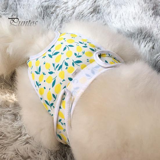 Менструальные штаны для домашних животных, регулируемые гигиенические трусики для собак, удобные герметичные физиологические штаны для домашних животных, товары для домашних животных