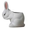 Керамический суккулентный горшок для кактусов с изображением кролика, украшение для контейнера X3UC