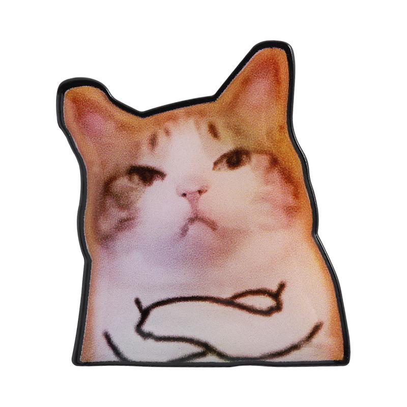 Милые кошачьи УФ-пины На заказ Не разговаривай со мной, я злой Броши Значки на лацкан Одежда Радужные животные Ювелирные изделия Подарок для друзей