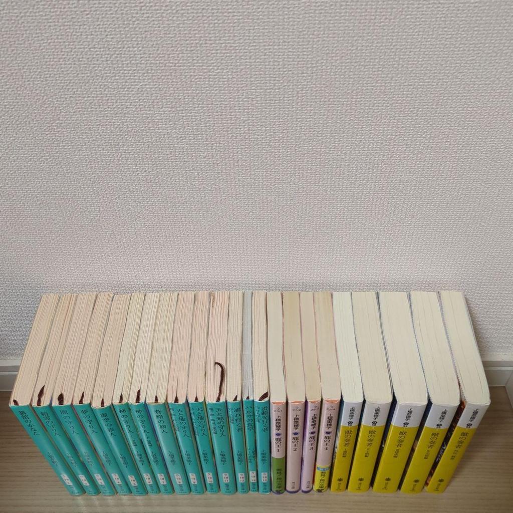 [USED] Set of 23 books including the Guardian series by Naoko Uehashi